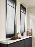 Duette Shades
